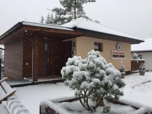 a snow covered building with a tree in front of it at Apartmány Pinie Lipno in Lipno nad Vltavou