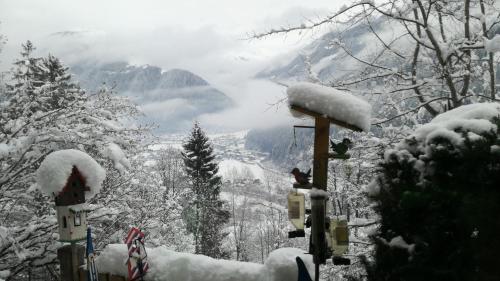 a snow covered view of a mountain with trees at Haus Mühlbichl in Finkenberg