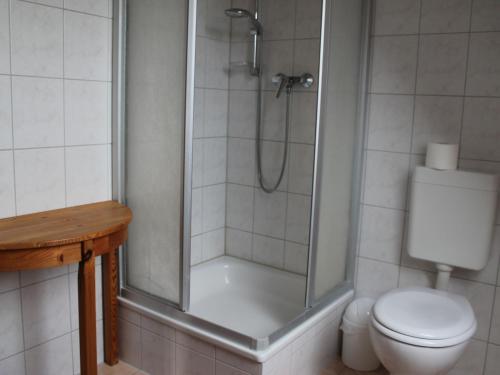 uma casa de banho com um chuveiro e um WC. em Cozy Apartment in Dargun Mecklenburg with Swimming Pool em Barlin