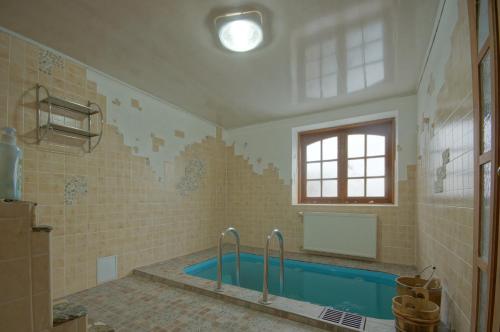 ヤシニャにあるZirka Karpatの窓付きの客室で、バスルーム(バスタブ付)が備わります。