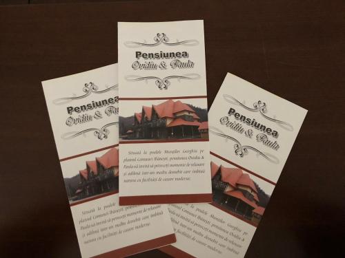 Billede fra billedgalleriet på Pensiunea Ovidiu&Paula i Ibăneşti