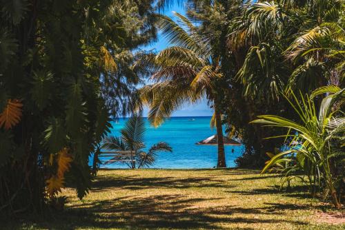 a view of the ocean through palm trees at Coconuts in Grand Baie