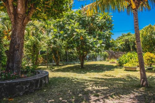 a garden with palm trees and a blue sky at Coconuts in Grand Baie