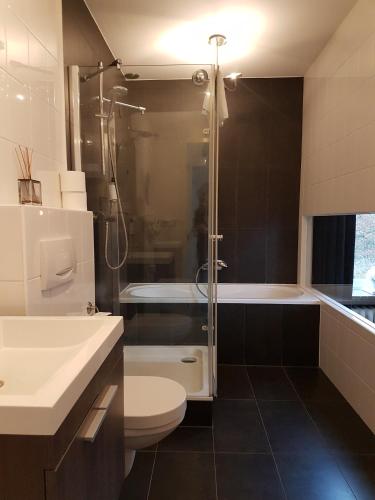 a bathroom with a shower and a toilet and a sink at Landgoed Rhederoord nabij Arnhem in De Steeg