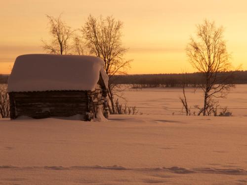 Photo de la galerie de l'établissement Ofelaš Islandshästar & Guideservice, à Kiruna