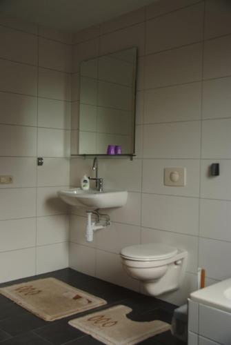 a small bathroom with a toilet and a mirror at B&B Noflik Haule in Haule