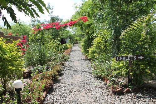 a garden path with flowers and a sign that says clusters at Camp Bastian Mikumi in Mikumi