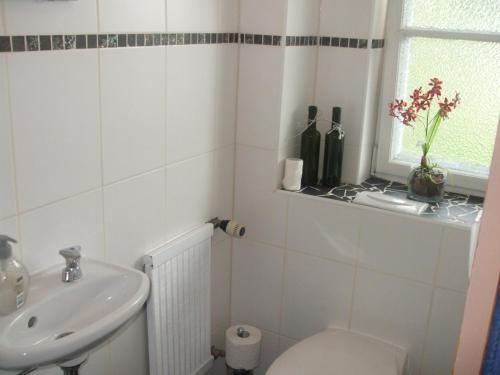 a bathroom with a sink and a toilet and a window at Ferienwohnung Alpensonne in Oberstdorf