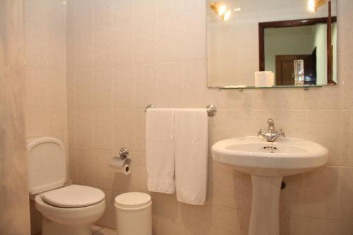 La salle de bains est pourvue d'un lavabo, de toilettes et d'un miroir. dans l'établissement Restaurante e Residencial O Resineiro, à Vidago