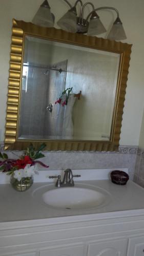 a bathroom sink with a mirror and a vase of flowers at Connie's Comfort Suites in Saint Johnʼs