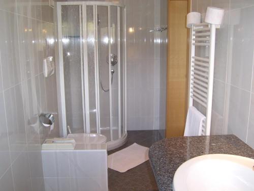 カルダーロにあるGarni Hotel Sonnleitenhofのバスルーム(シャワー、トイレ付)