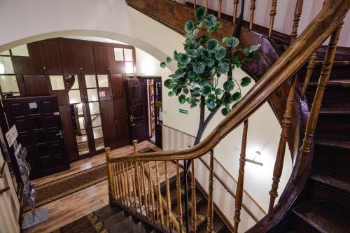 a spiral staircase in a building with a plant at Golden Lion Guest Rooms Szewska 19 in Kraków
