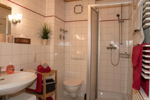 a bathroom with a shower and a toilet and a sink at Ferienwohnung "Woidliebe" in Lohberg