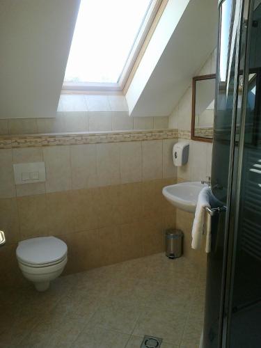 a bathroom with a toilet and a sink at Györgyey Kastély Panzió és Étterem in Tápiógyörgye