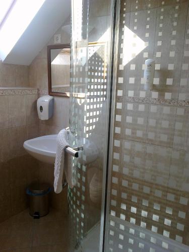 a bathroom with a sink and a glass shower door at Györgyey Kastély Panzió és Étterem in Tápiógyörgye