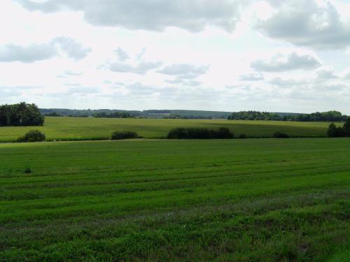 a large green field with trees in the distance at Les Grillettes in Ploërmel