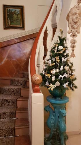 a christmas tree in a vase next to a staircase at Hotel Cardinal in Aix-en-Provence