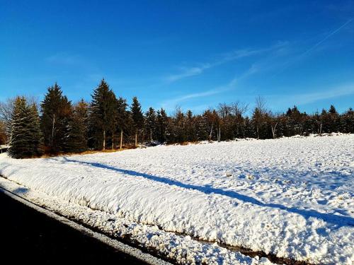 a snow covered field with trees on the side of a road at apartmány 2+1 u Klínovce in Kovářská