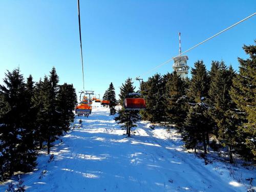 a ski slope with trees and a ski lift at apartmány 2+1 u Klínovce in Kovářská
