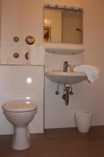 a bathroom with a toilet and a sink at Fewo Königsberger in Garmisch-Partenkirchen