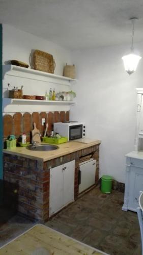a kitchen with a counter with a sink and a microwave at Apartments Holiday Home Srce in Kopaonik