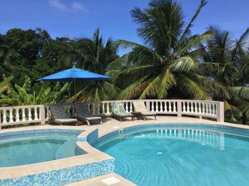 a swimming pool with chairs and an umbrella and palm trees at Petite Anse Hotel in Mount Alexander