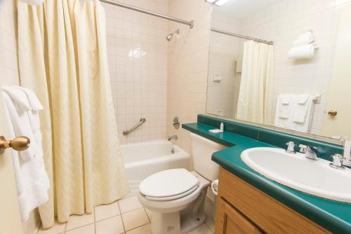 a bathroom with a white toilet and a sink at Rough River Dam State Resort Park in Fentress McMahan