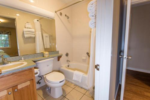a bathroom with a toilet and a tub and a sink at Barren River Lake State Resort Park in Lucas