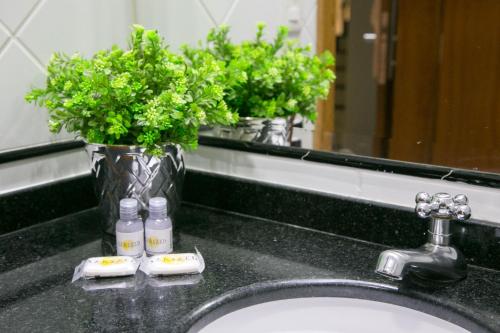 a bathroom sink with a vase of plants and a mirror at Hotel Sansaed in Cuiabá