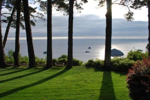 a park with trees and a view of the ocean at Lost Whale Inn in Trinidad