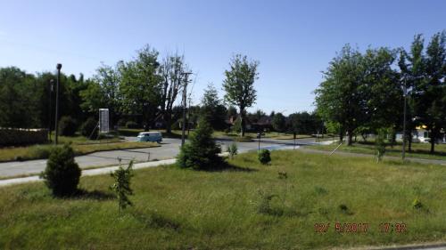 a field of grass with trees on a road at Bosque Valdiviano Apartment in Valdivia