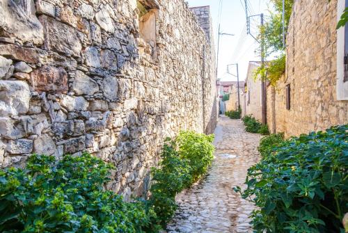 a stone alley with a stone wall and bushes at Oinoessa Traditional Boutique Guest Houses in Lofou