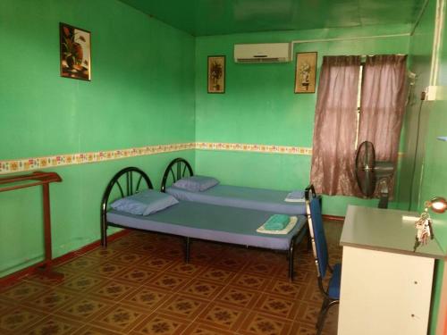 a bedroom with a bed in a green room at Taun Gusi Village Homestay in Kota Belud