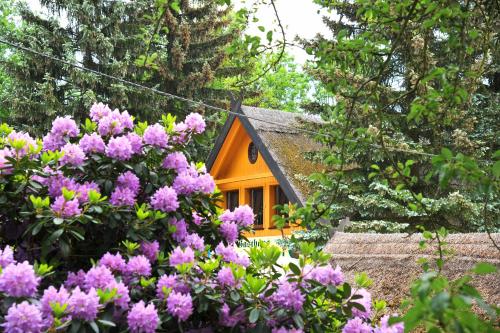 a house with pink flowers in front of it at Hotelanlage Starick in Lübbenau