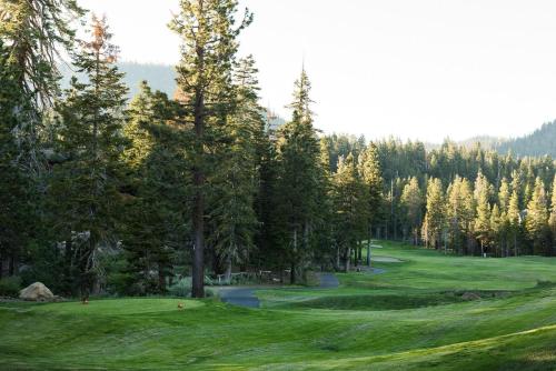 a golf course with pine trees and a green at Cabins 13 in Old Mammoth