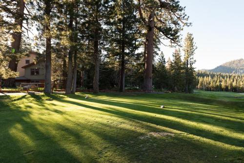 a field with trees and a house in the distance at Cabins 21 in Old Mammoth