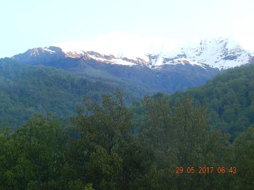 a view of a mountain with trees and snow capped mountains at Marina's guest house in Lentekhi