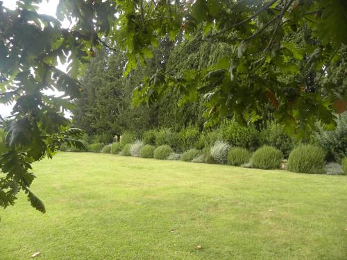 a green yard with a row of bushes and trees at Ghiaccio Bosco in Capalbio