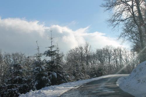 a snow covered road with trees on the side at Hôtel Restaurant Le Moulin de Saint Verand in Saint-Vérand