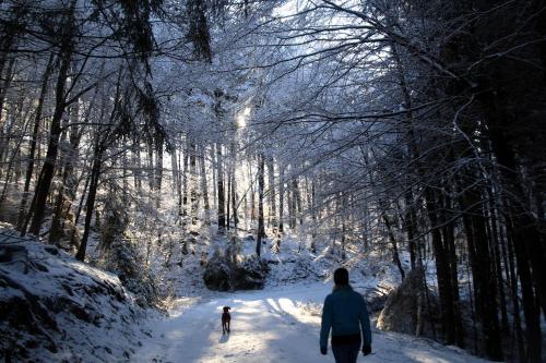 two people are walking down a snow covered trail at Waldhotel Schinkenwirt in Olsberg