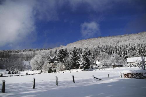 a snow covered hill with a house and a fence at Waldhotel Schinkenwirt in Olsberg