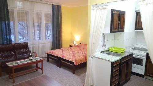 Apartment Roxana Centar tesisinde mutfak veya mini mutfak