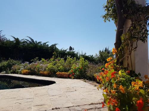 Κήπος έξω από το Casa Algarrobo Chile