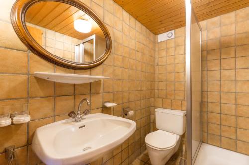 a bathroom with a sink and a toilet and a mirror at Gasthof St. Hubertus in Gschnallenhof