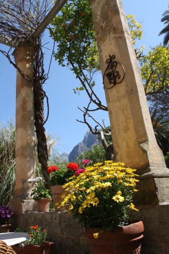 a bunch of flowers in pots on a column at The Salvia - Adults Only in Sóller