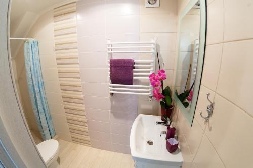 リヴィウにあるFurmanska 3 Mansardaのバスルーム(洗面台、トイレ、鏡付)