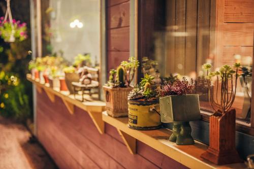 a bunch of potted plants sitting on a window sill at 南庄橄欖樹咖啡民宿 Olive Tree Village Guesthouse in Nanzhuang