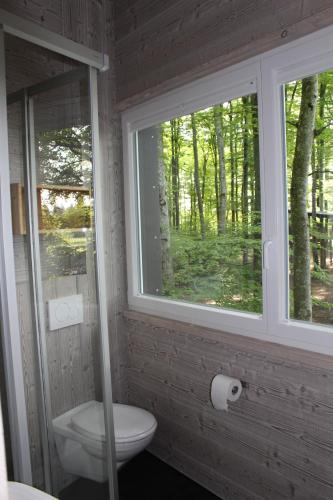 łazienka z toaletą i 2 oknami w obiekcie Les Cabanes du Mont w mieście Coeuve