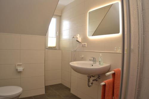 a bathroom with a sink and a toilet and a mirror at Brigel-Hof in Meßkirch