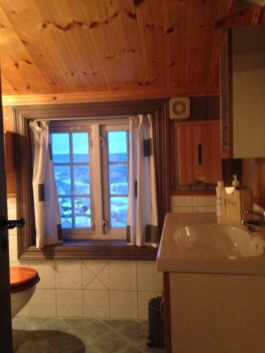 a kitchen with a sink and a window with a view at Ivaregga Vinterstua in Tolga